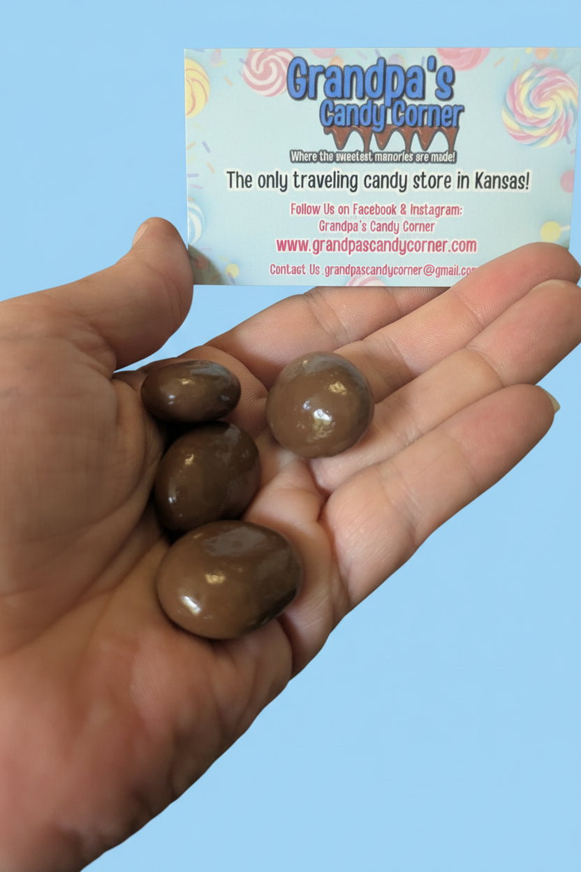 Milk Chocolate Covered Raisins